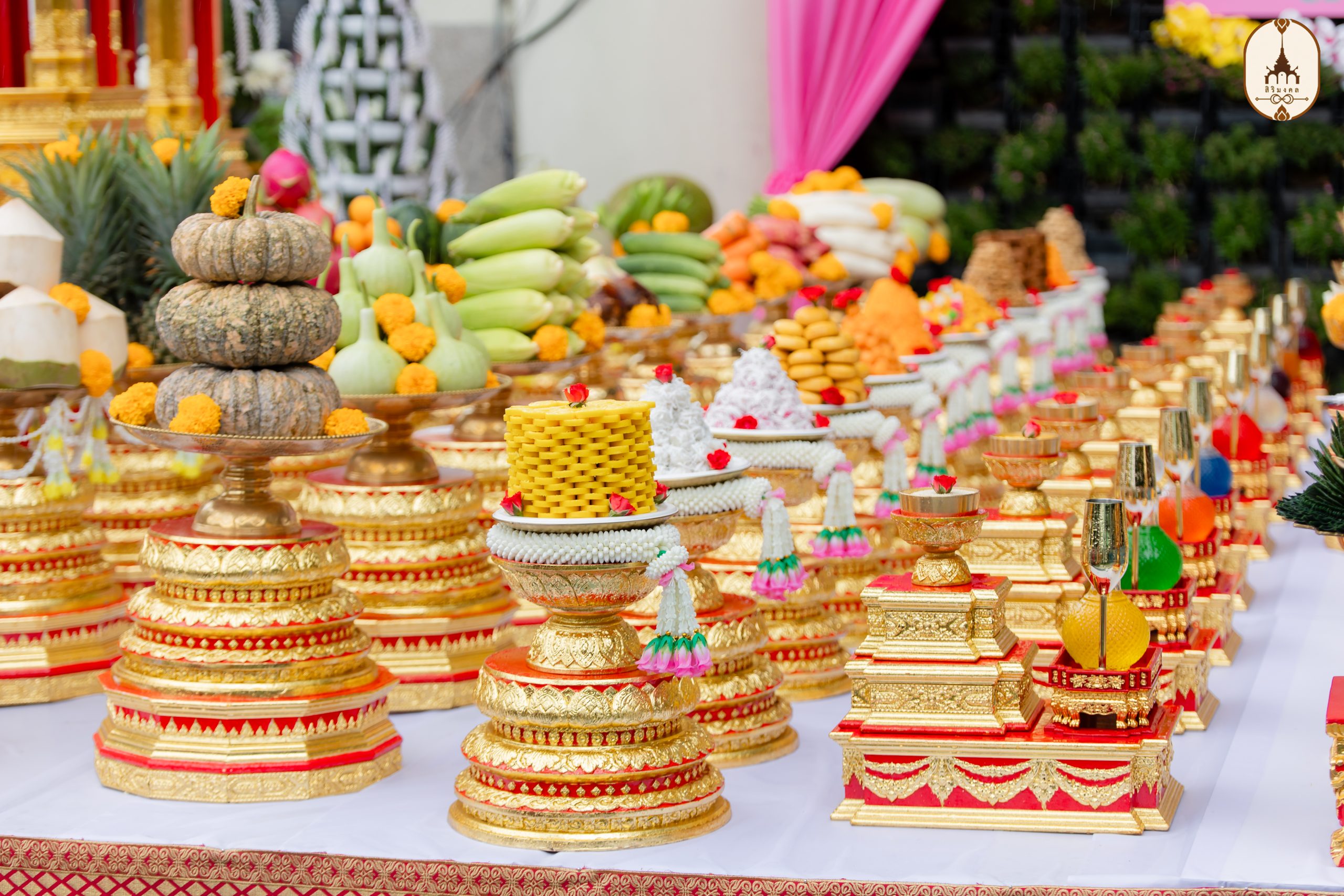 สิริมงคล ออแกไนท์-6306